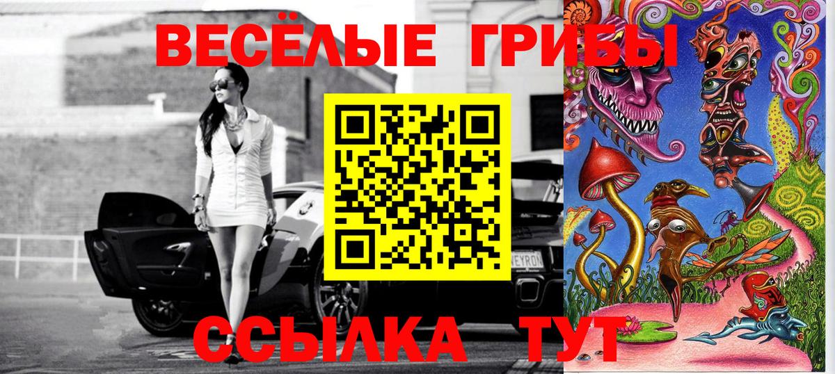 Псилоцибиновые грибы мухоморы  цены   Вход с VPN  Лесозаводск  Псилоцибиновые грибы Cubensis 